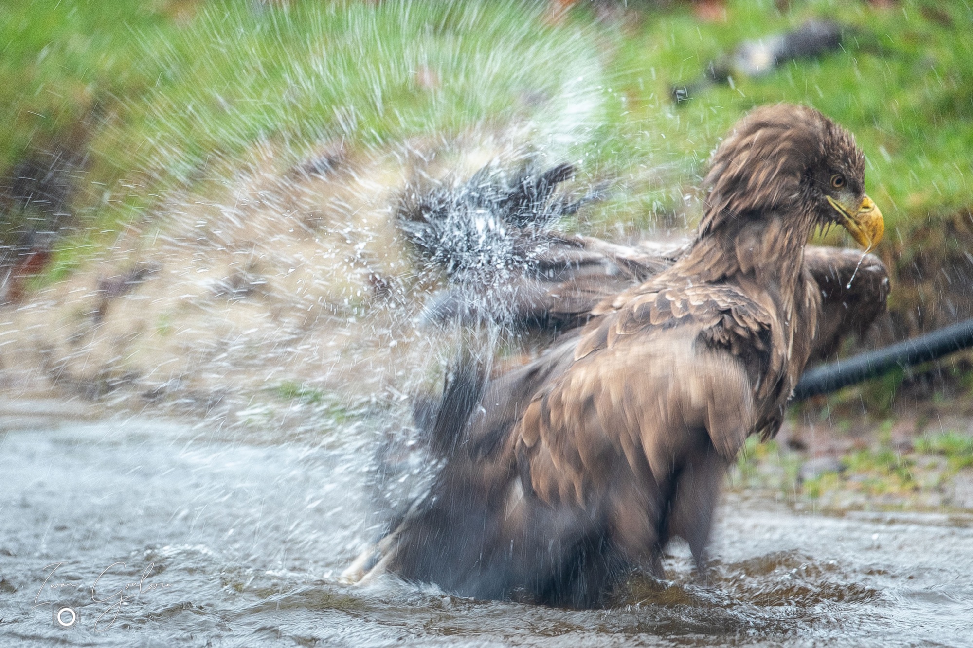 1DX46950 12 december 2021 1448 20